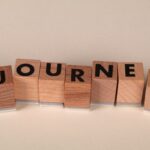 Career Journey
